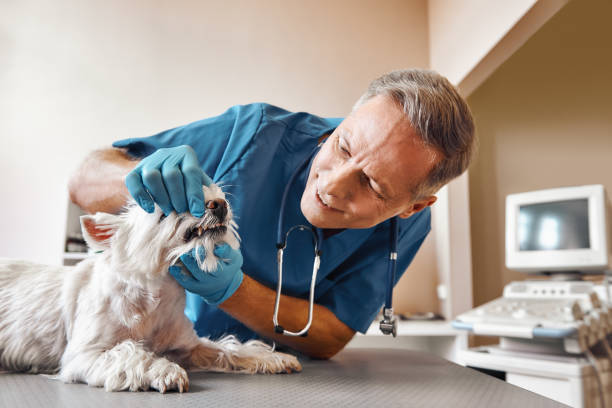 Best Walk-In Emergency Dentist in Mather, CA